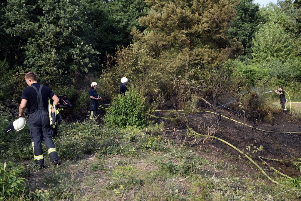 Waldbrand Koeln Hoehenhaus Hoehenfelder Mauspfad P144.JPG - Miklos Laubert